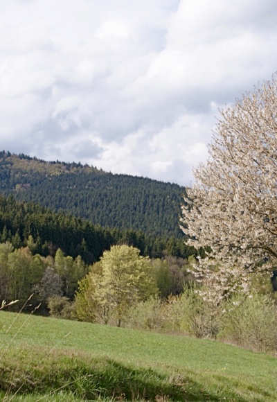 Schusterstein nach Lindenau