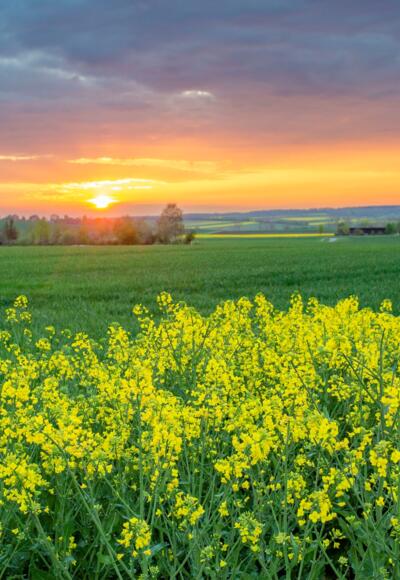 Sonnenuntergang wie aus dem Märchenbuch
