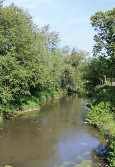 Fränkische Saale in Wülfershausen