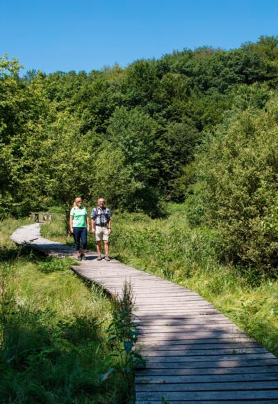 Bohlensteg im Hafenlohrtal