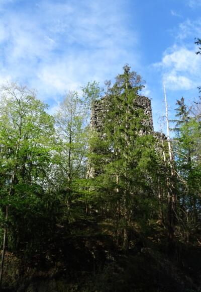 Gut getarnte Ruine Bad Sonnenberg