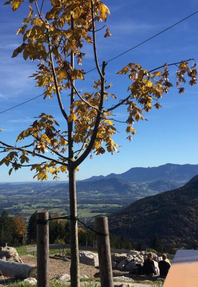 Panoramablick Tregleralm
