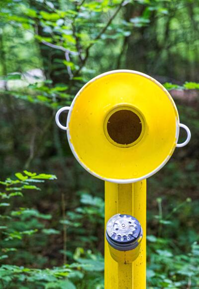 Waldtelefon am Klangweg zum Jexhof
