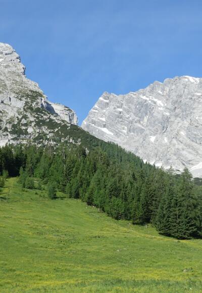 Der grasige Weg bei der Kührointalm führt zum Klein-Watzmann-Nordgrat.