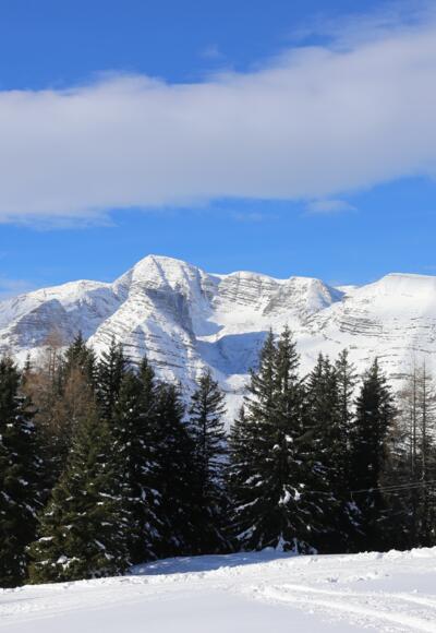 Am Gipfel des Schwarzkogel