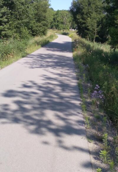 Fahrt durch ländliche Idylle.