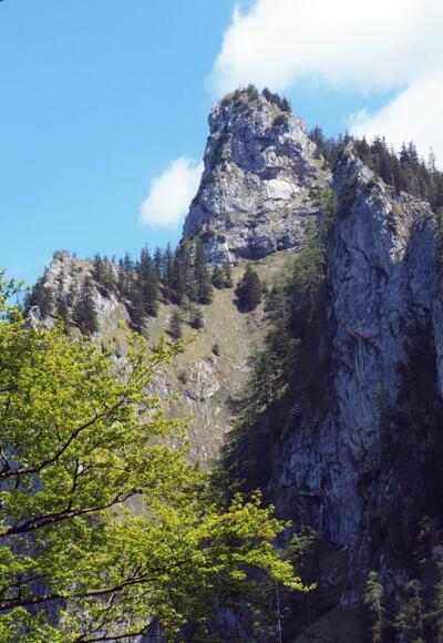 Katzenstein vom Gassnersteig ~1040 m