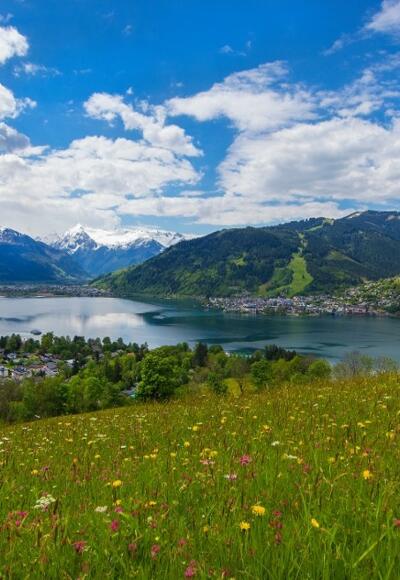 Mitterbergblick Sommer