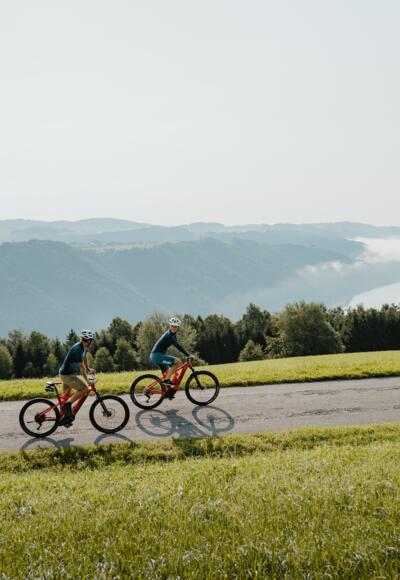 Blick ins Donautal - Panoramablick Thron