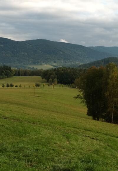 Rückblick zum Höhenrücken mit Panzer (rechts)