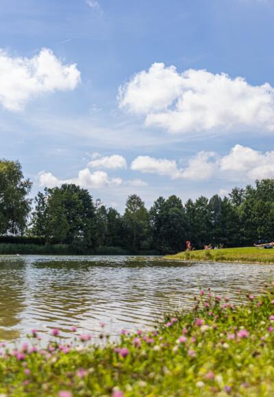 Blumiger Blick auf den Germeringer See