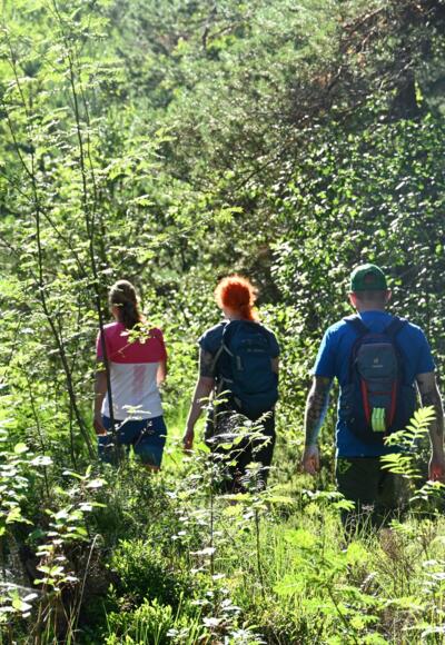 Wandern auf befestigten Wegen im Naturschutzgebiet Haspelmoor