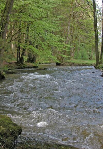 Bogen-/Perlbach vor Untermühlbach