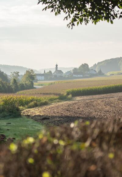 Auf der Feckinger Runde bei Saal a.d. Donau