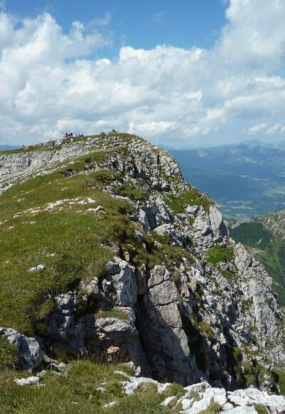 Rückblick zum Schneibstein-Gipfel.