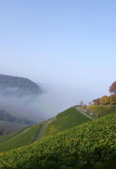 Schlossberg_Castell_2560_1728