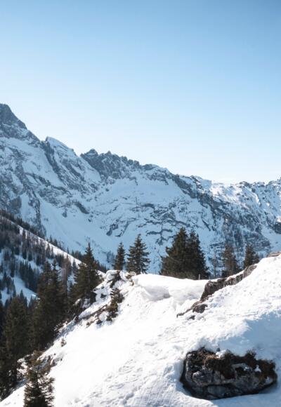 Winterliches Gipfelglück am Rossfeld