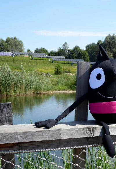 Nach der Wanderung von der Auenwerkstadt (im Hintergrund) zum großen Teich gönnt sich Edgar eine Verschnaufpause.