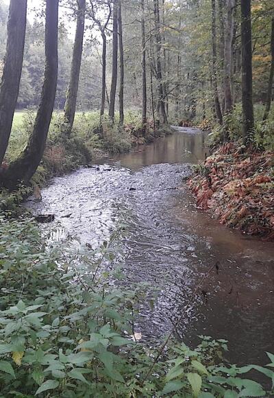 Perlbach im flacheren Teil