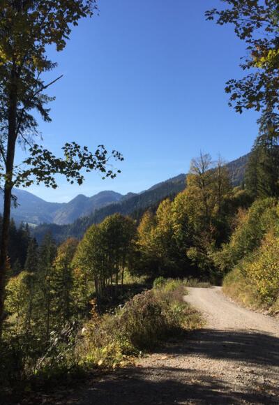 Wanderweg zur Ackernalm