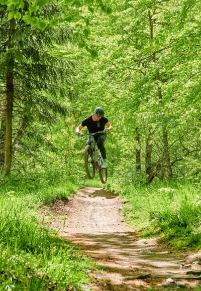 Flowtrail Kreuzberg