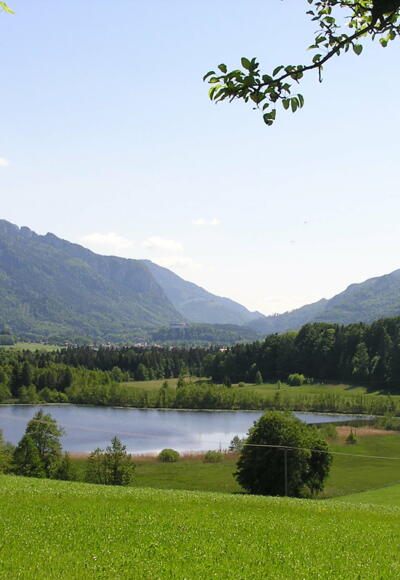 Blick auf den Bärnsee