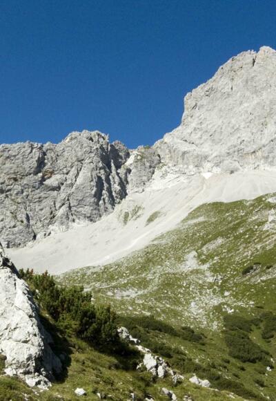 Die scharfgeschnittene Lamsenspitze