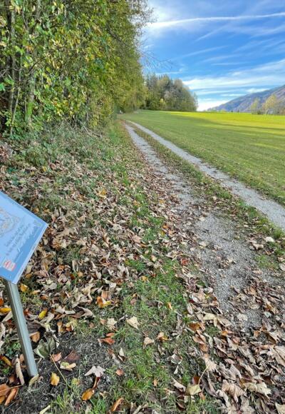 Mund-Art Weg Aschau i.Ch.