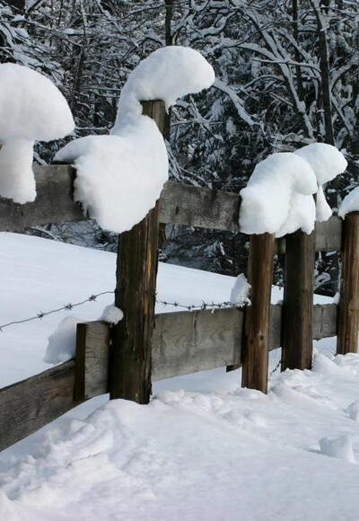 Winterwanderung - Geizenmoos