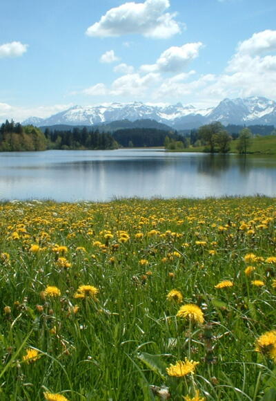 Der Schwaltenweiher bei Rückholz im Frühling