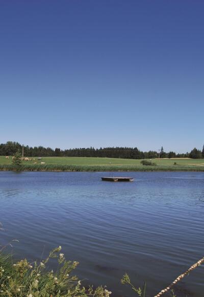 See bei Rückholz