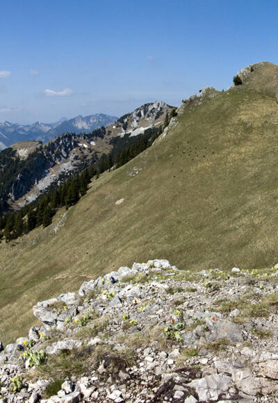 Gipfelblick von der Käserwand zum Wildalpjoch