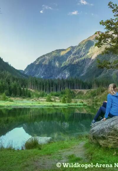 Wildkogel/ Hörspiel Locandy / eLiner
