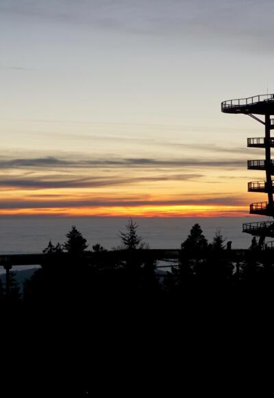 Waldturm