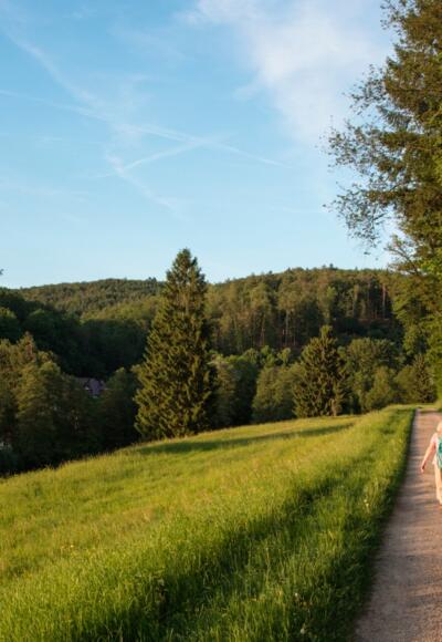 Herrliche Fernsicht auf dem Weg zum Wasserschloss Mespelbrunn