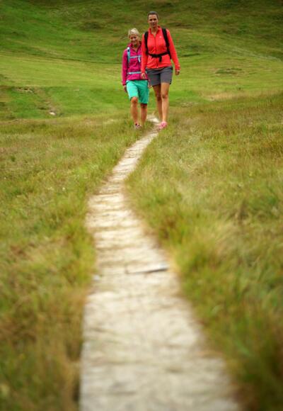 Weg vom Bödele Richtung Geißkopf
