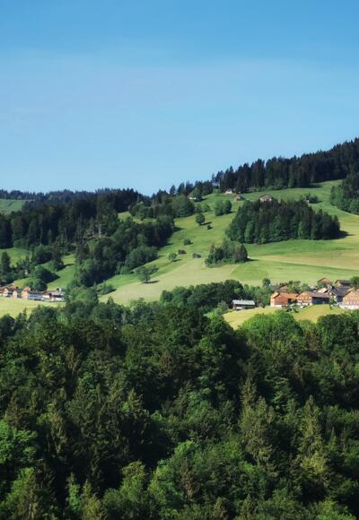 Blick aufs Bödele
