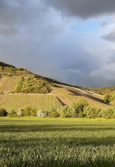 Blick auf den Benediktusfelsen