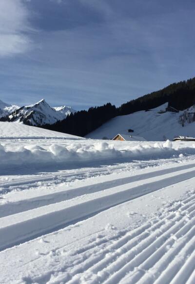 Steinbock-Loipe Bödmer Schleife