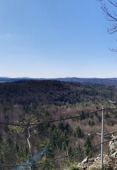 Blick über das Hirschbachtal
