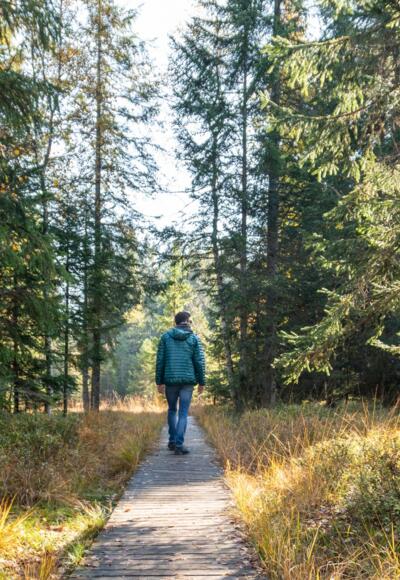 Steg durch das Hochmoor Fohramoos am Bödele