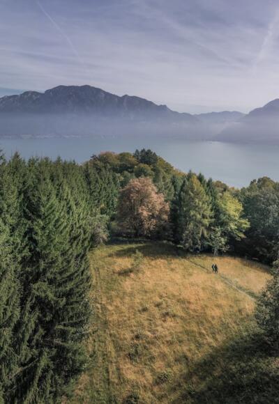 Wanderweg im Wald in der Attersee-Attergau Region