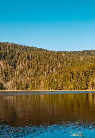 Arbersee