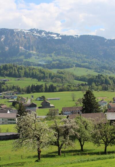 Blick auf Lingenau