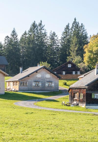Wanderung am Bödele