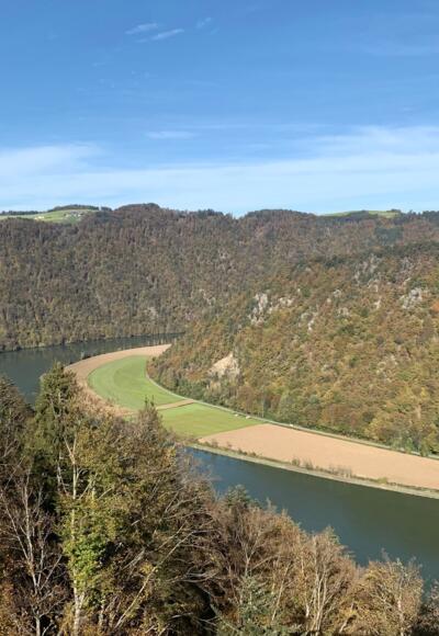 Die nördliche Donauschlinge bei Schlögen