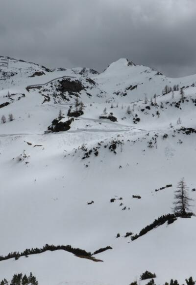 Seekarkessel mit Gamskogel und Schwarzkopf