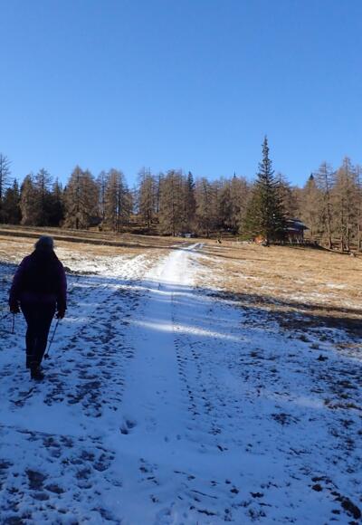 Am Weg zum Lärchriegel