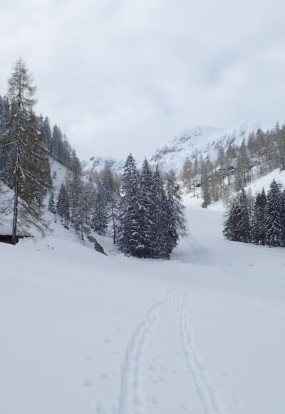 Start Mitte Mai in Zauchensee
