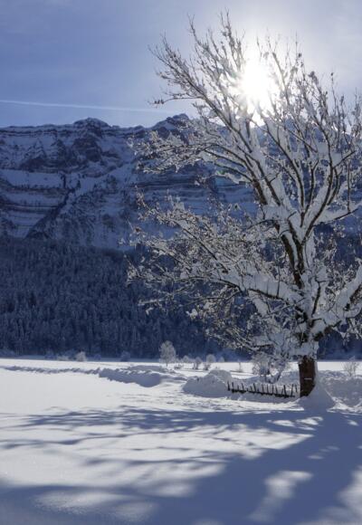 Winterlandschaft in Bizau
